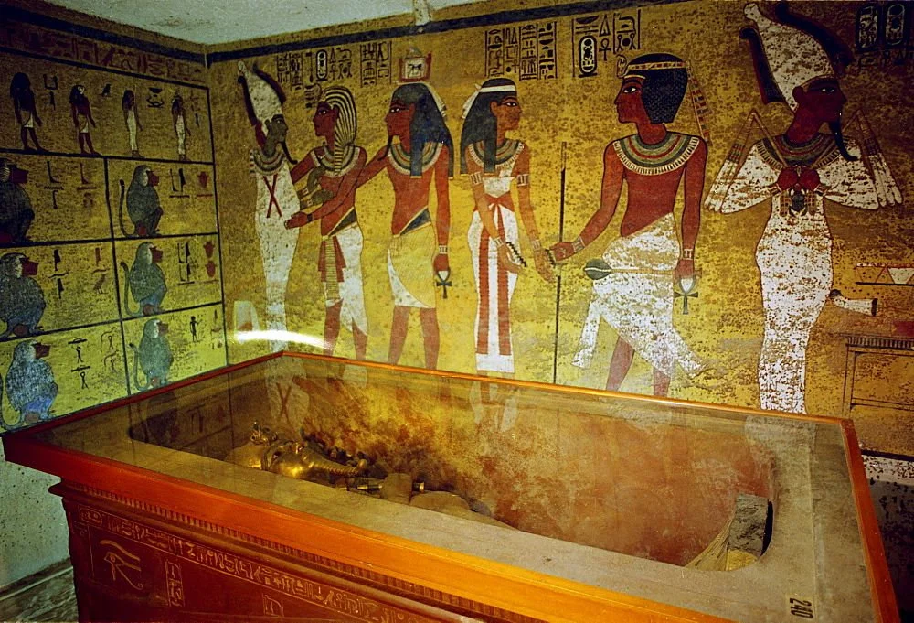 The gilded ceremonial chariots from Tutankhamun's tomb displayed in the Grand Egyptian Museum